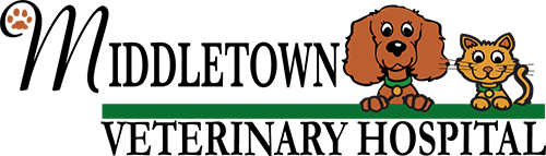 Middletown Veterinary Hospital